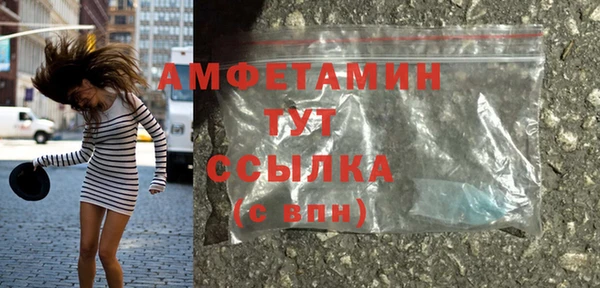 шишки Белокуриха