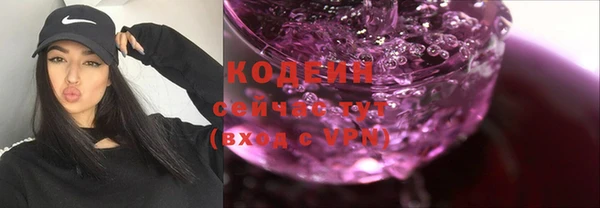 шишки Белокуриха