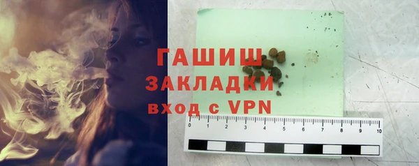 шишки Белокуриха