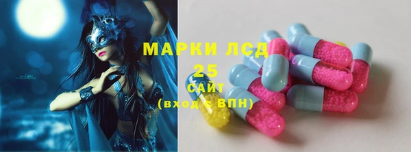 шишки Белокуриха