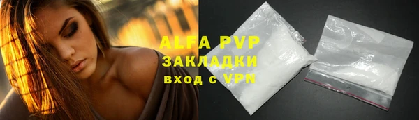 шишки Белокуриха