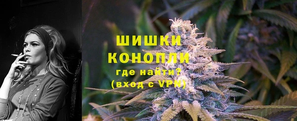 шишки Белокуриха